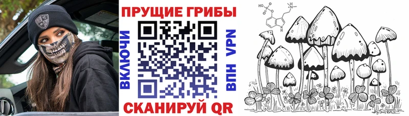 Псилоцибиновые грибы мухоморы  Купить  Мыски 